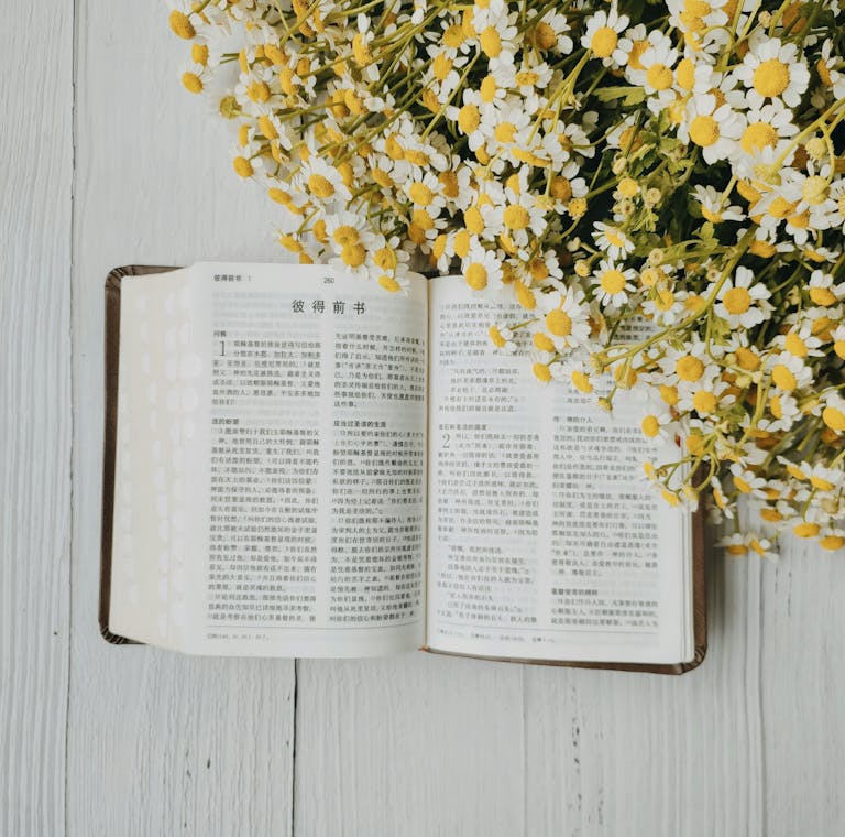 An open Bible in Chinese script surrounded by chamomile flowers on a white wooden table.
